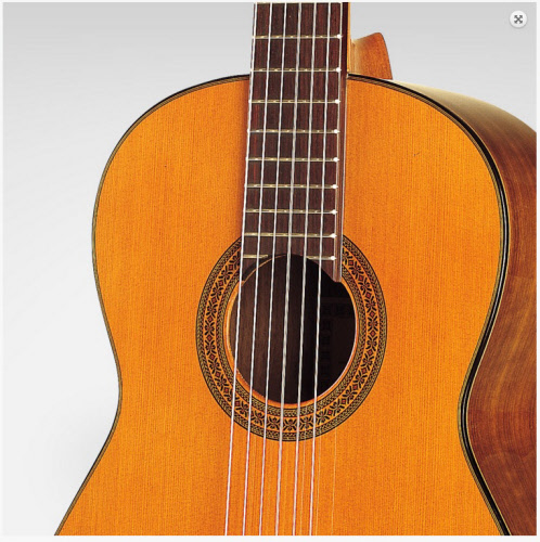vernieuwen Op de loer liggen excuus Esteve 5 Klassieke Spaanse gitaar -massief ceder-handgemaakt