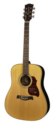 Richwood Master Series gitaar VA Fichte | RWD-D65VA |