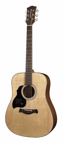 Linkshandige gitaar Richwood | RWD-D40-L | 35426